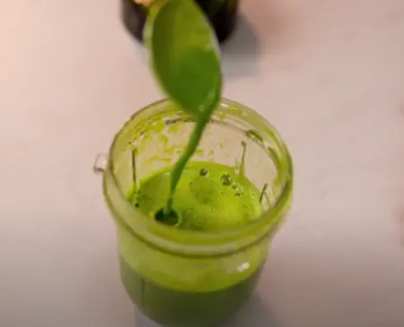 Blending ingredients for the paste including green chili, coriander, ginger, and palak.