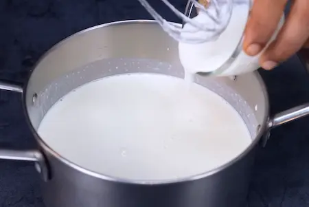 adding curd starter into lukewarm milk for homemade dahi