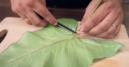 Step 1: preparing arbi leaves for Arbi Ke Patte Ki Sabji